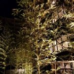 【マンション管理用語集（し）】植栽とは・・それは義務、されど植栽