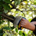 【団地マンションの植栽管理を担う東邦レオのスタッフコラム 2】ついでに切っておいてね。