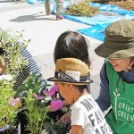 【団地マンションの植栽管理を担う東邦レオのスタッフコラム １】はじめまして！とみーです