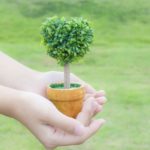 【ある「元」大手管理会社取締役つぶやき その93】管理組合も業者も合意形成にお金がかかる（その３） 植栽管理をフルメンテナンスに