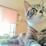 【マンション管理士サミーのよろず相談日誌】－その4 　小修繕工事のチェックに行ってみて