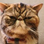 【マンション管理士サミーのよろず相談日誌】－その4・つづき 小修繕工事のチェックに行ってみて