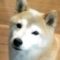 ザビ （元副理事長）
