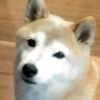 ザビ （元副理事長）