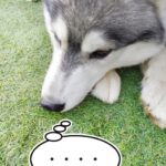 【図面を取り戻せ！～大規模修繕後の戦い】3．新旧ひきつぎの理事会（2018年6月24日）